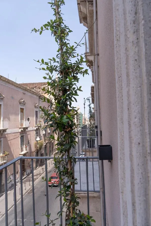 Bed and Breakfast Zagara E Lumia CTA